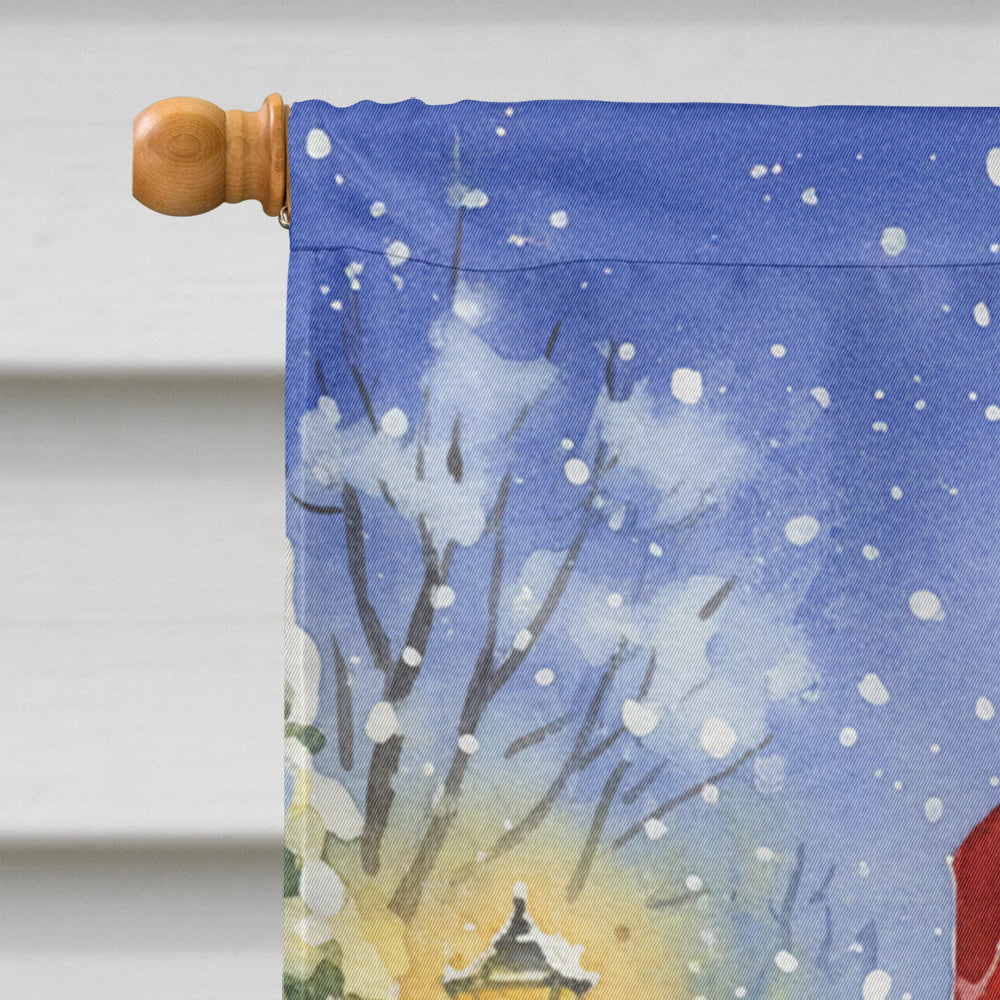 Cardinal with Santa Claus House Flag