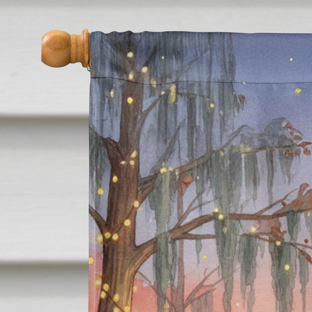 Cajun Santa Claus in the Pirogue Christmas House Flag