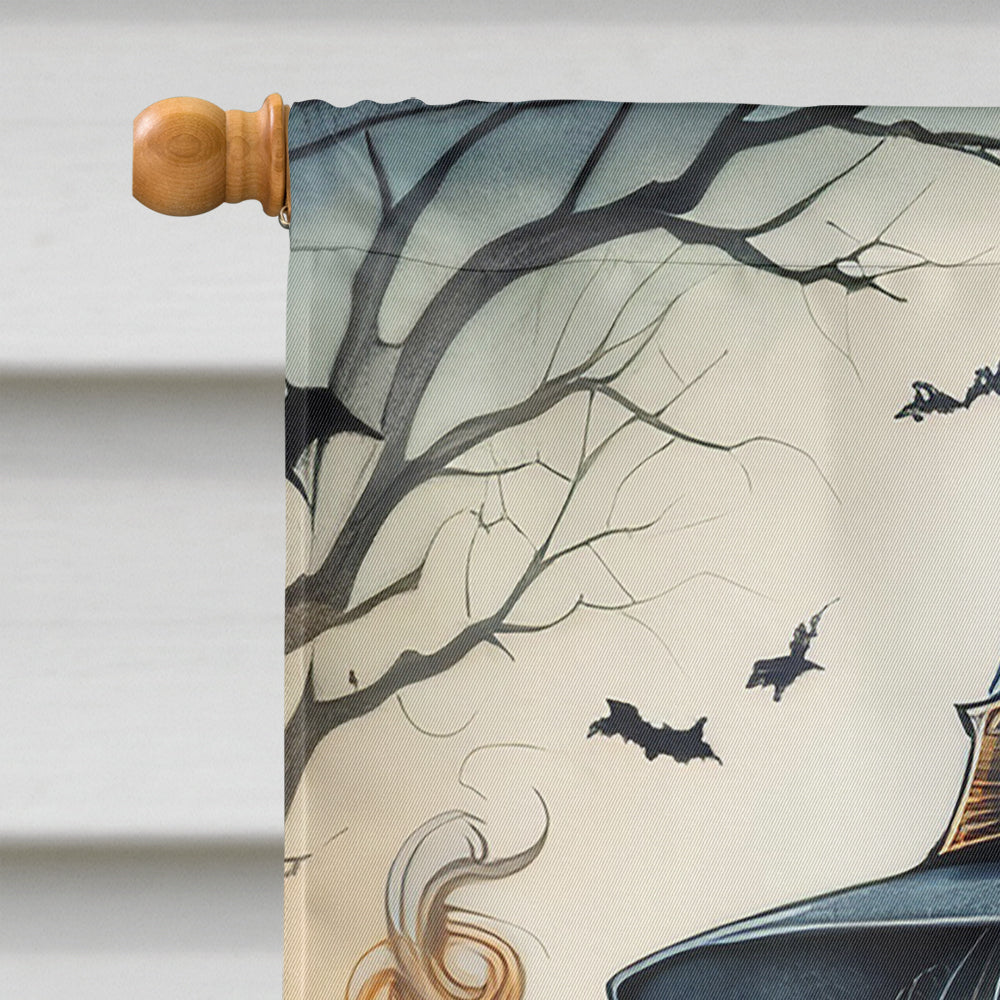Witch Spooky Halloween House Flag