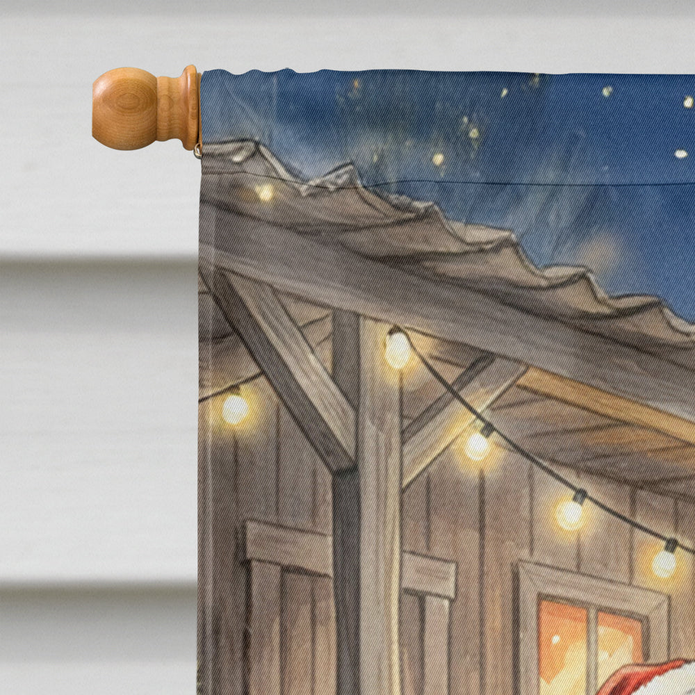 Cajun Santa Claus Playing Zydeco Christmas House Flag